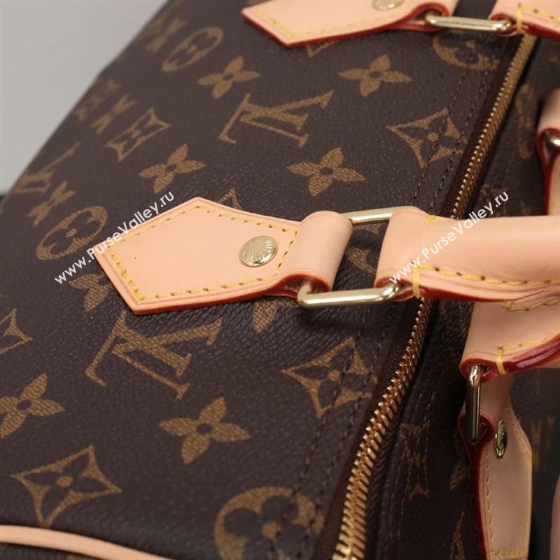 LV Louis Vuitton Speedy 25 Bag M41113 Monogram Handbag Brown