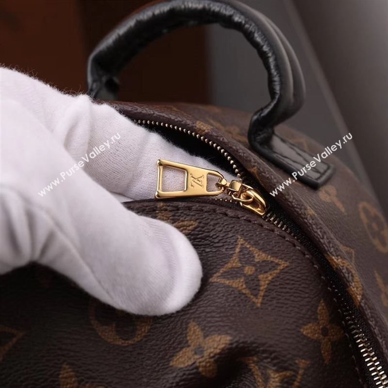 LV Louis Vuitton Monogram Backpack Mini M41562 Bag Brown
