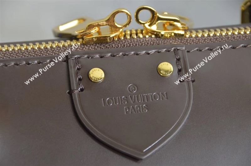 LV Louis Vuitton N41486 Segur Handbag Damier Bag Brown