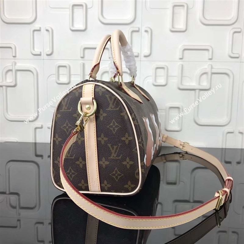 replica LV Louis Vuitton Speedy 25 Handbag Monogram Dog Limited Bag M41113 Brown