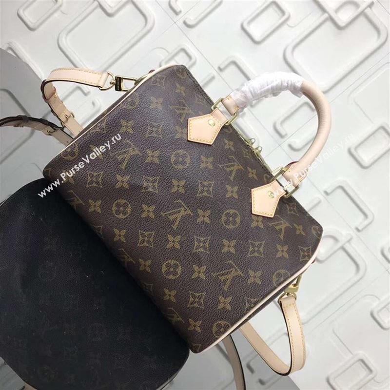 replica LV Louis Vuitton Speedy 25 Handbag Monogram Dog Limited Bag M41113 Brown