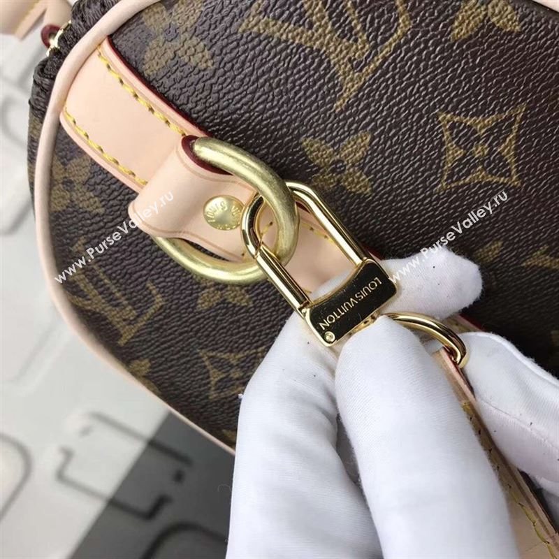 replica LV Louis Vuitton Speedy 25 Handbag Monogram Dog Limited Bag M41113 Brown