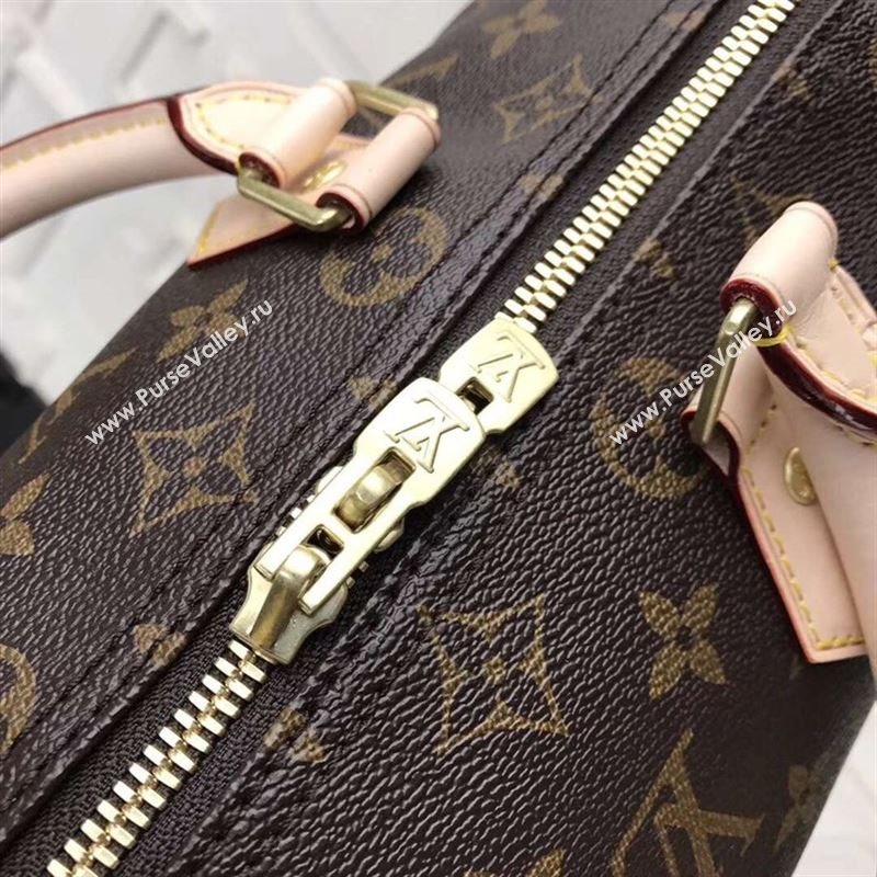 replica LV Louis Vuitton Speedy 25 Handbag Monogram Dog Limited Bag M41113 Brown