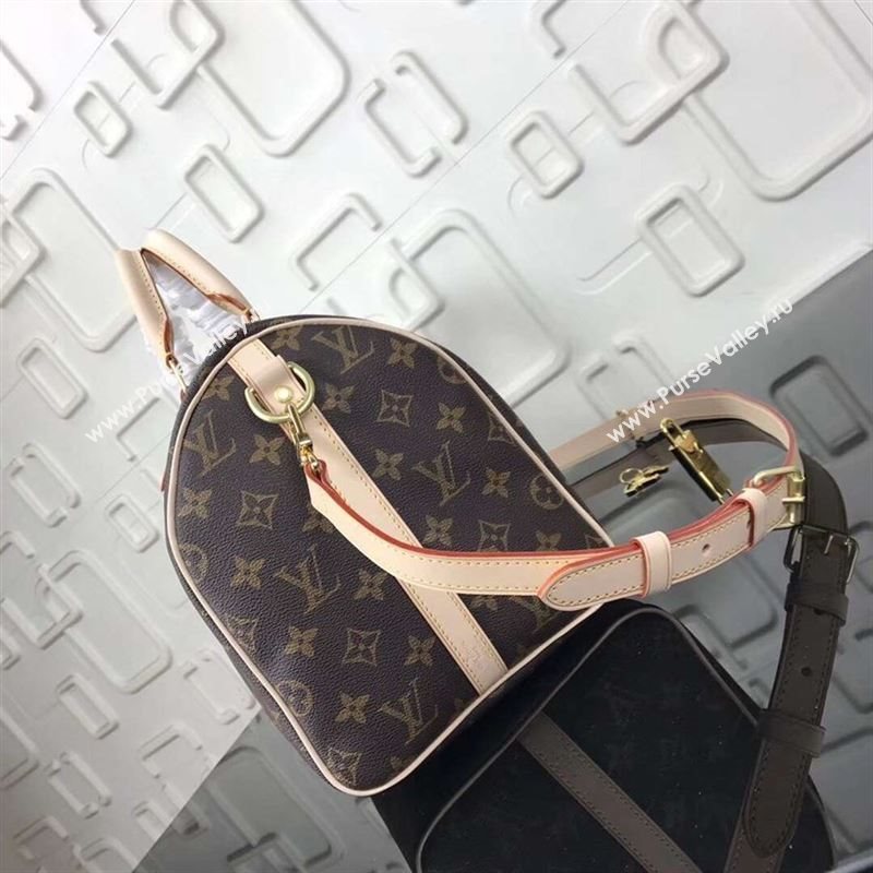 replica LV Louis Vuitton Speedy 30 Handbag Monogram Dog Limited Bag M41112 Brown