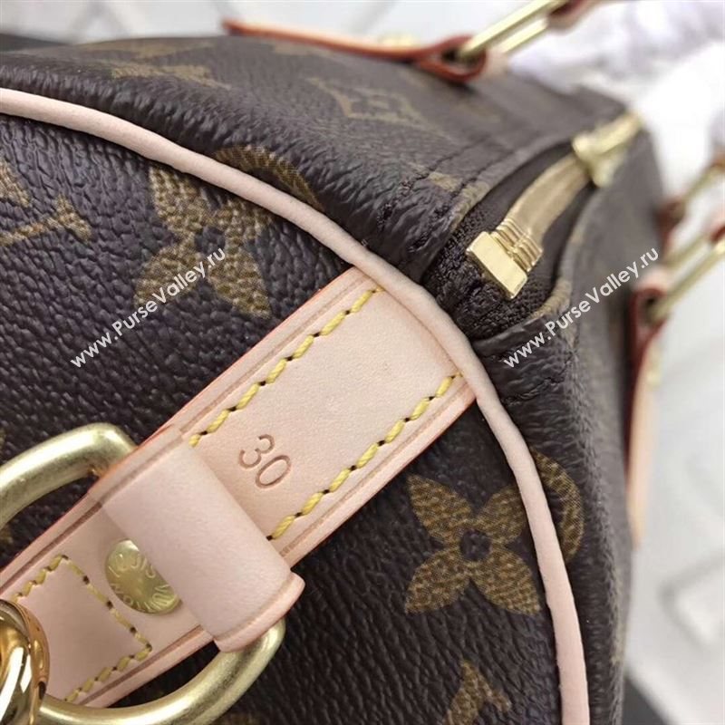 replica LV Louis Vuitton Speedy 30 Handbag Monogram Dog Limited Bag M41112 Brown