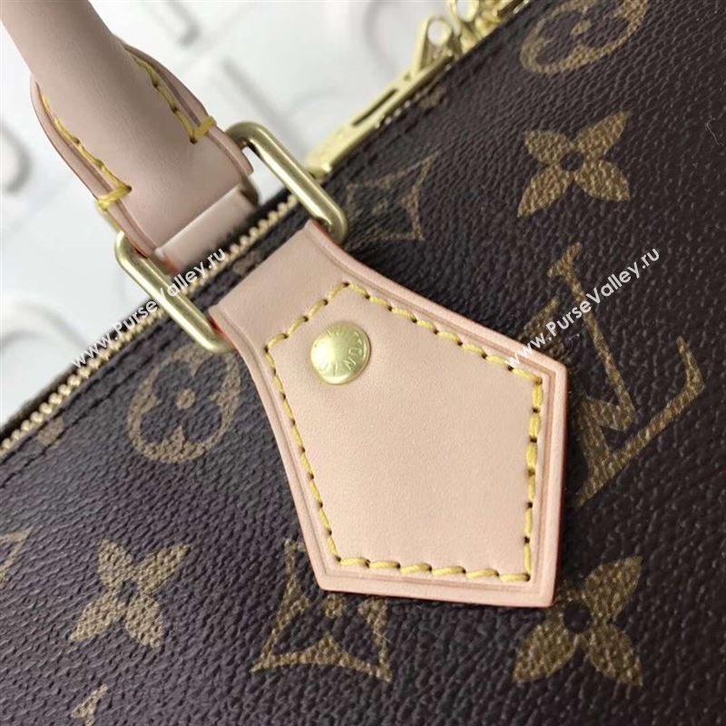 replica LV Louis Vuitton Speedy 30 Handbag Monogram Dog Limited Bag M41112 Brown