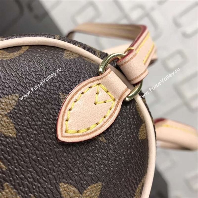 replica LV Louis Vuitton Nano Speedy Handbag Monogram Dog Shoulder Bag M61252 Brown