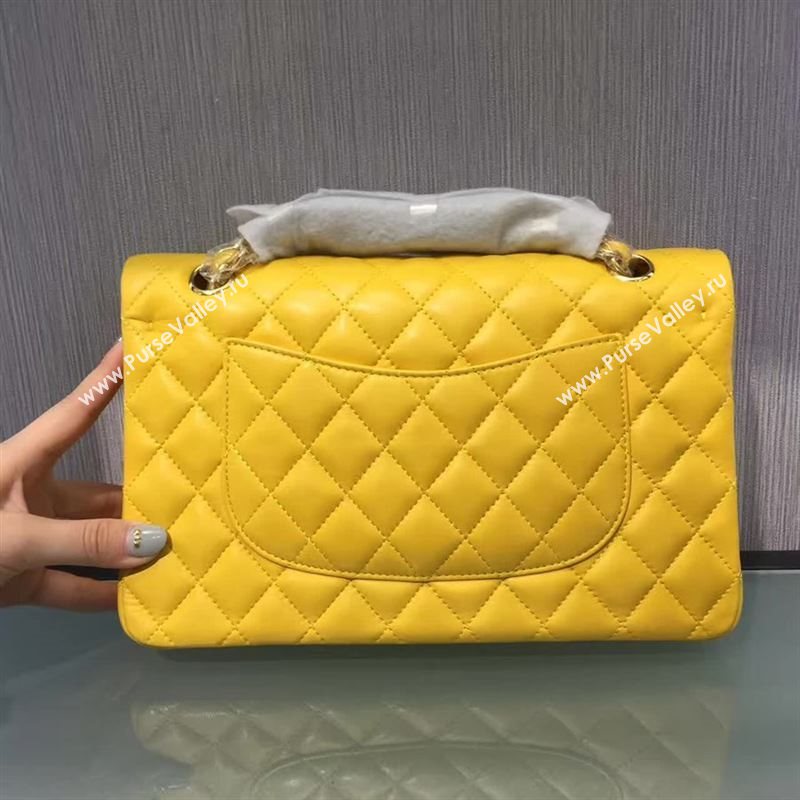 Chanel Classic flap 19356