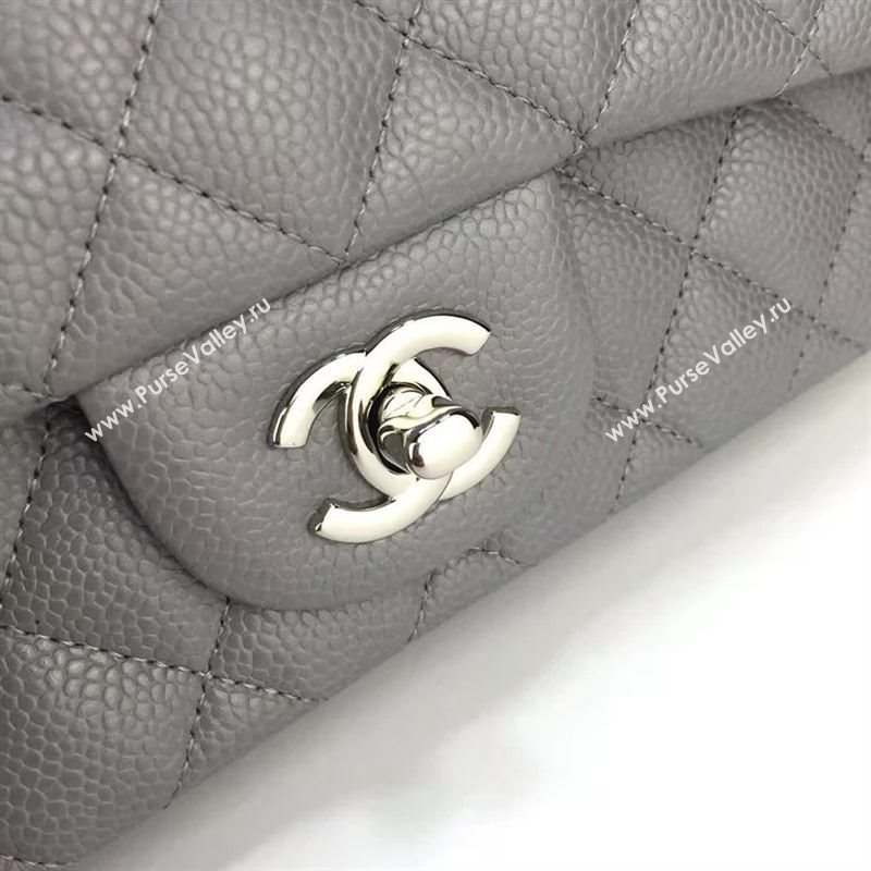 Chanel Classic flap 22433