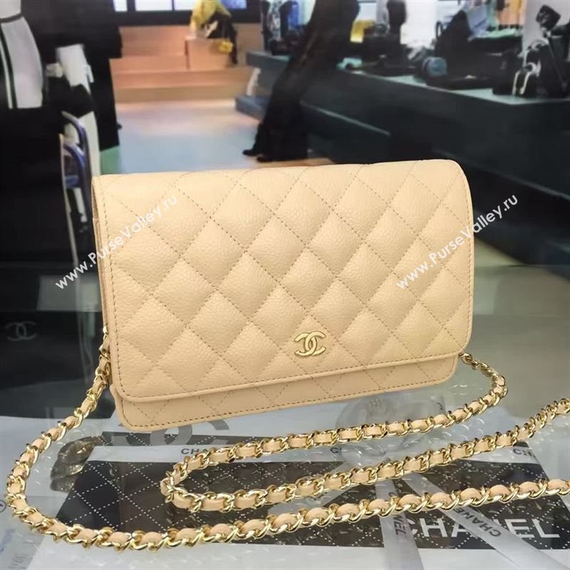 chanel woc 22541