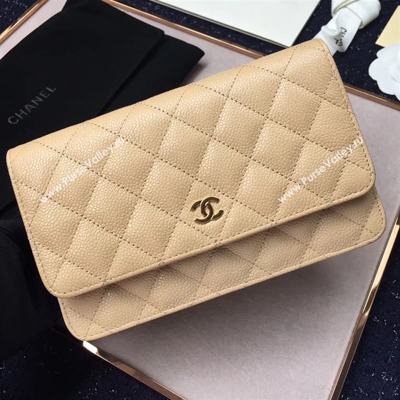 Chanel WOC 20577