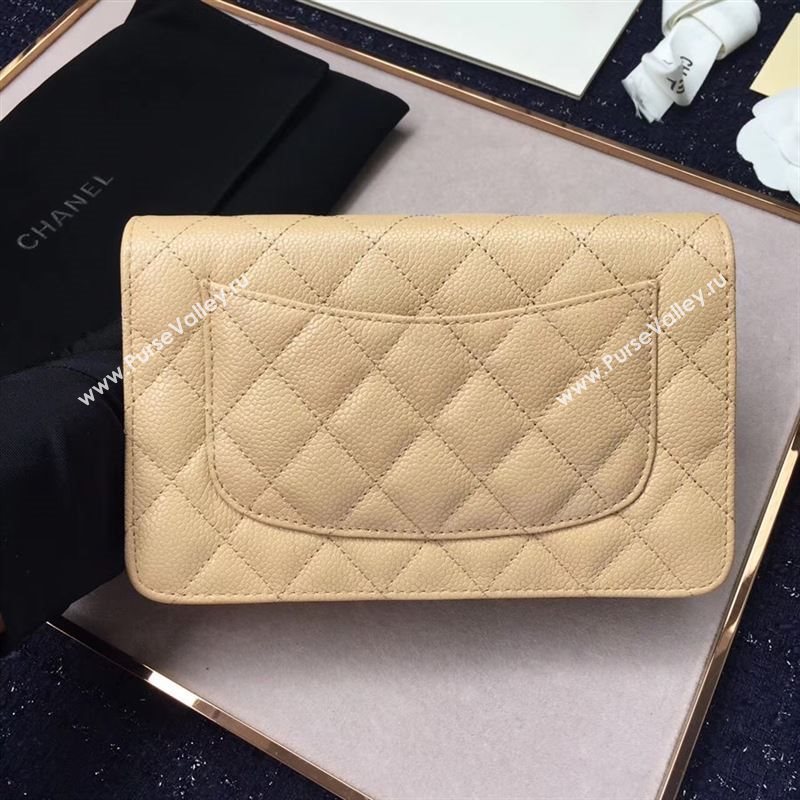 Chanel WOC 20577