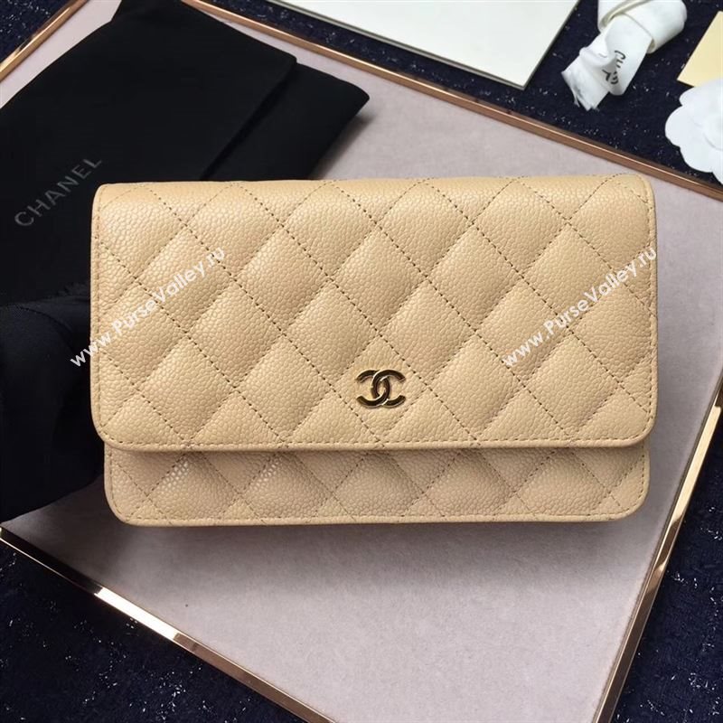 Chanel WOC 20577