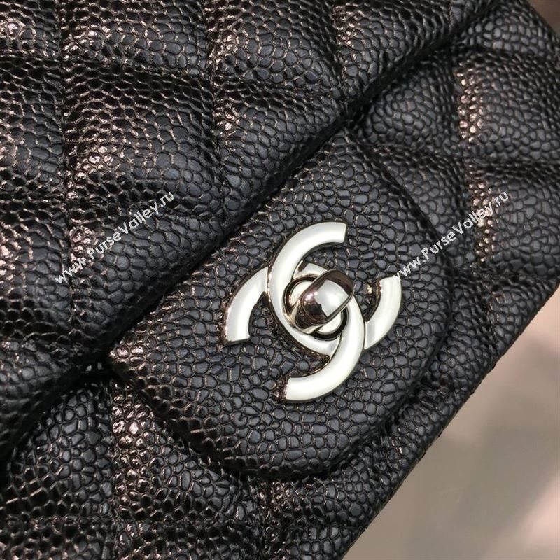 Chanel Classic Small Flap 24409