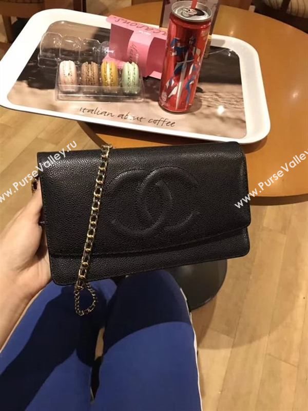 Chanel WOC 25699