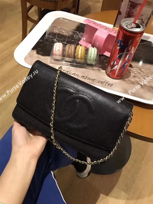 Chanel WOC 25699