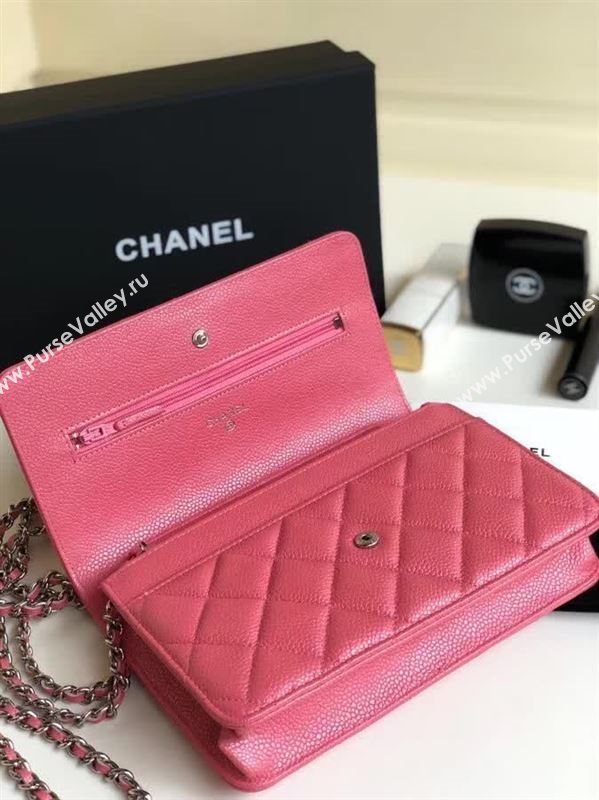 Chanel WOC 27789