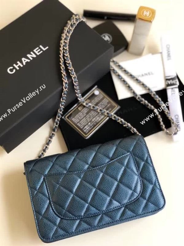 Chanel WOC 27791