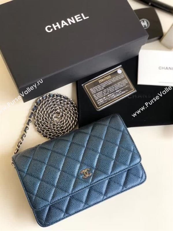 Chanel WOC 27791