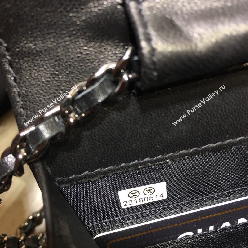 Chanel WOC 30668