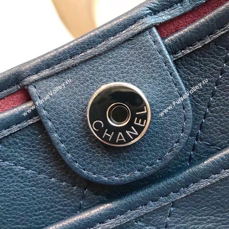 Chanel Shoulder Bag 36493