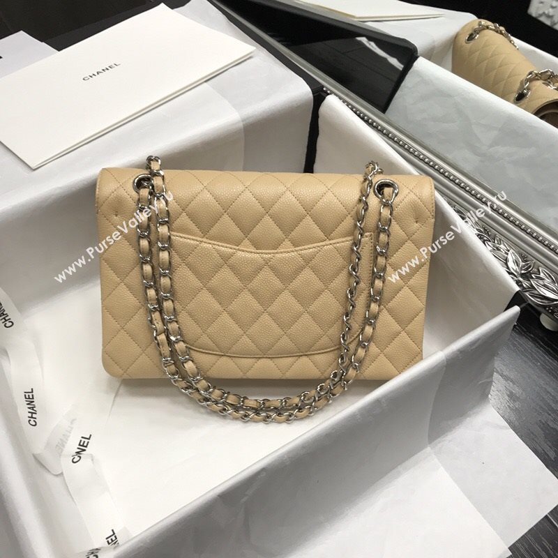 Chanel Classic flap 35808