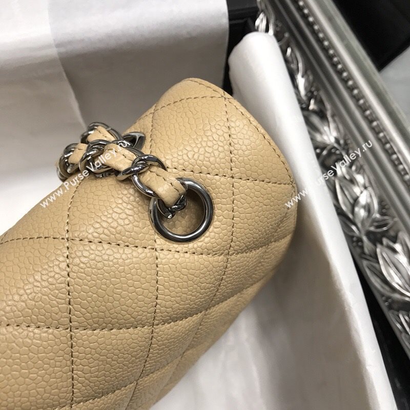 Chanel Classic flap 35808