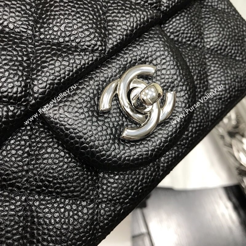 Chanel Classic flap 34880