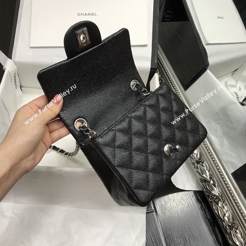 Chanel Classic flap 34880