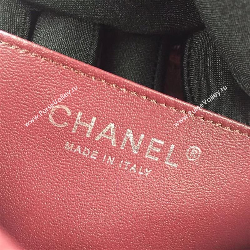 Chanel Classic Mini Flap 37162