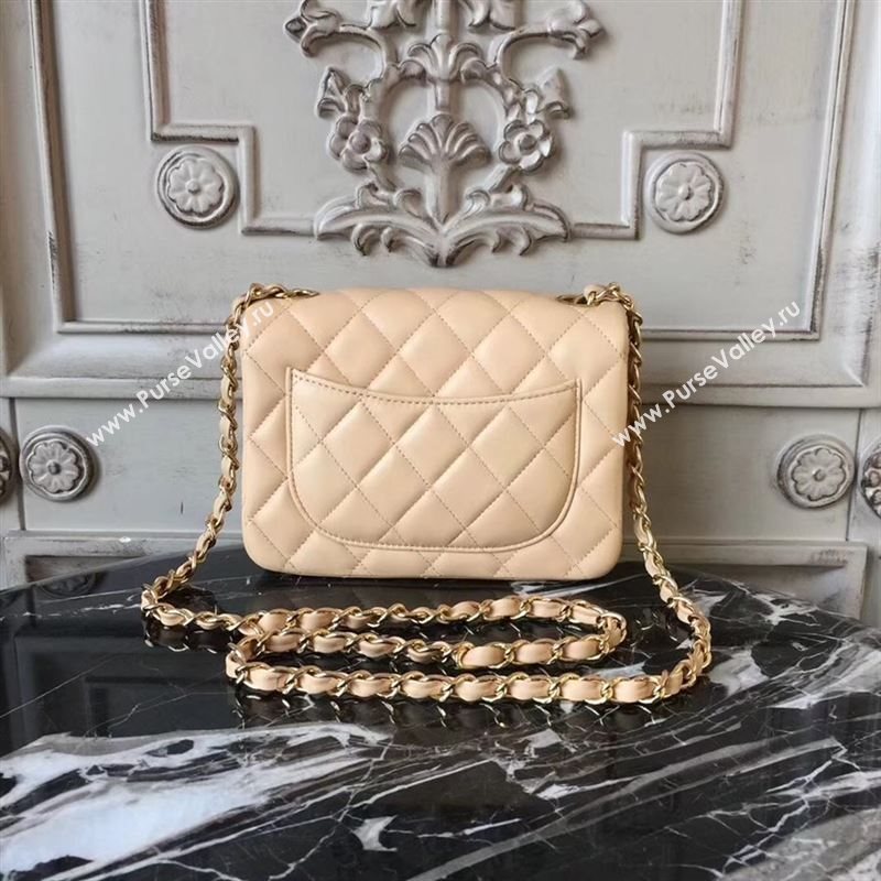 Chanel Classic Mini Flap 24219