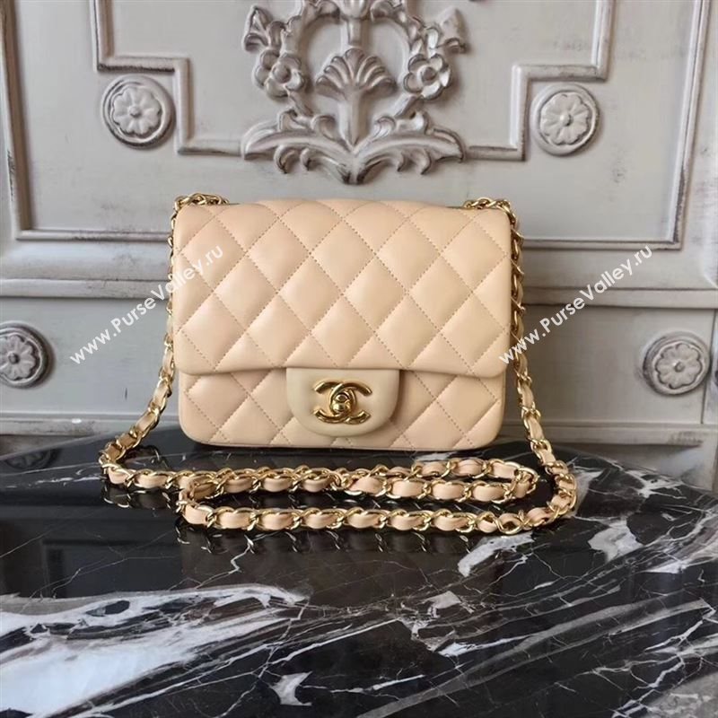 Chanel Classic Mini Flap 24219