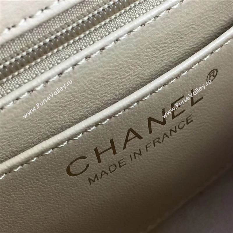 Chanel Classic Mini Flap 24219