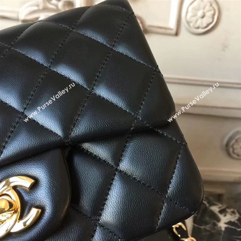 Chanel Classic Mini Flap 24209