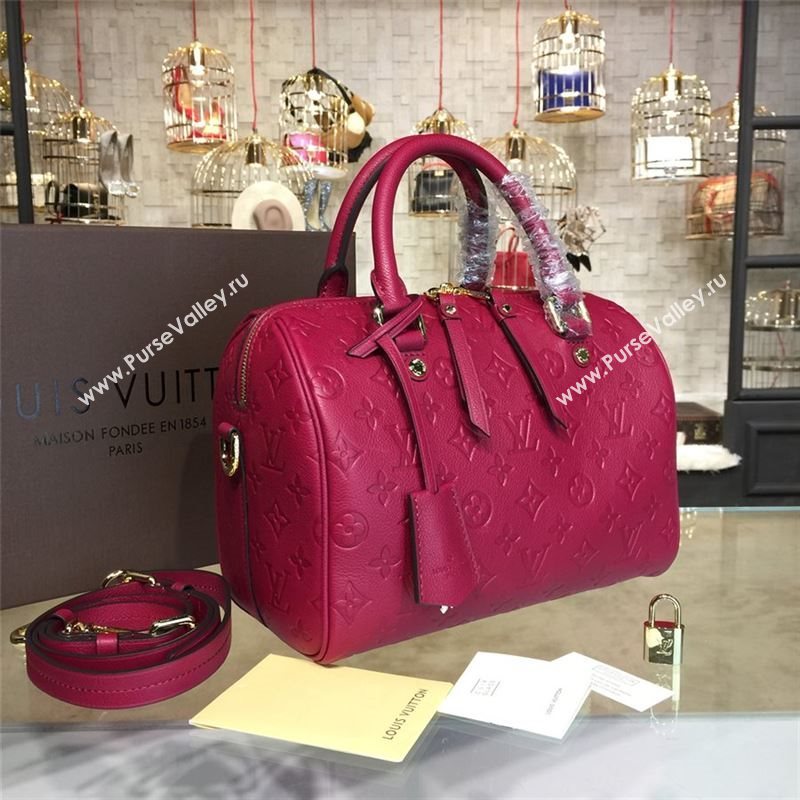 LOUIS VUITTON SPEEDY 25 8699