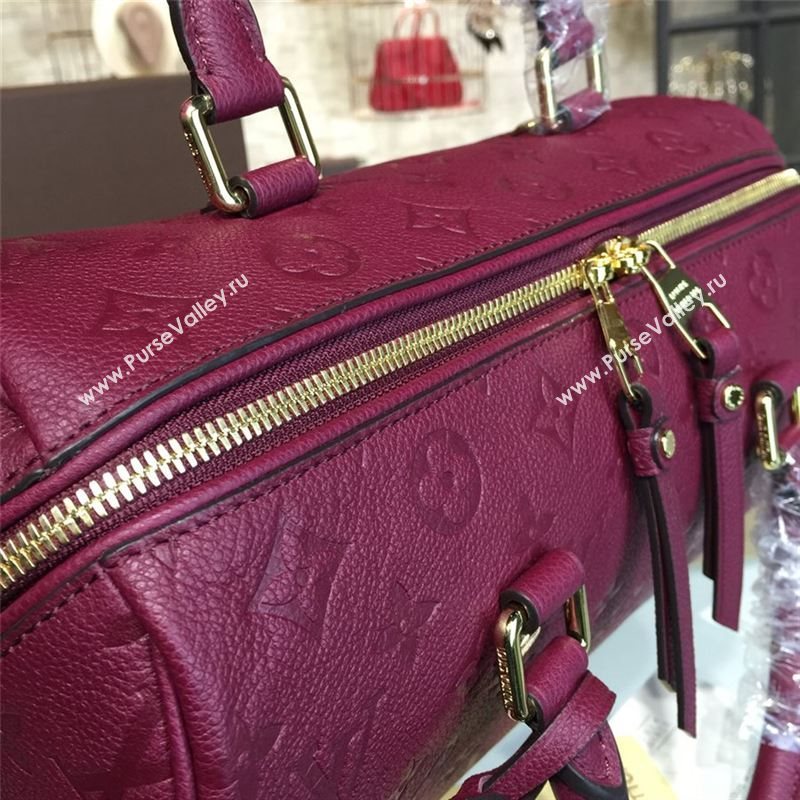 LOUIS VUITTON SPEEDY 30 8810