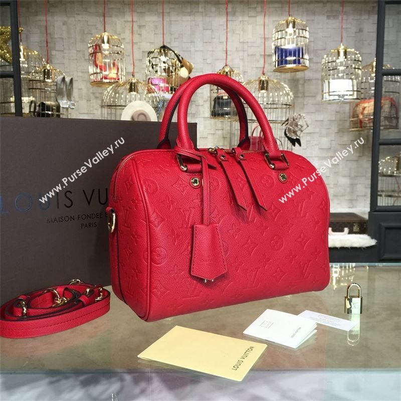 LOUIS VUITTON SPEEDY 25 8817