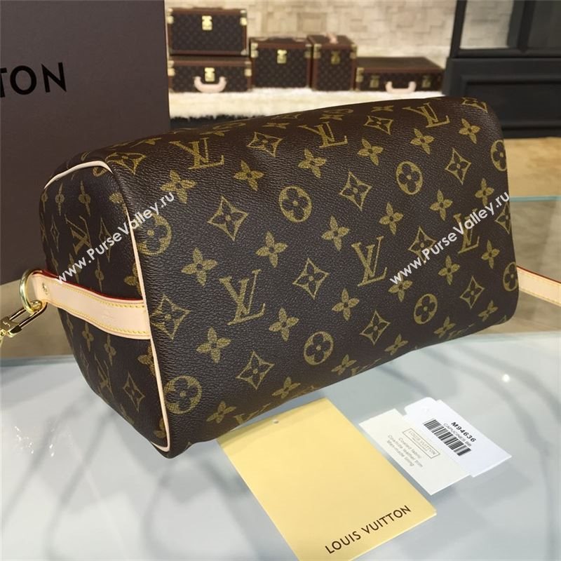 LOUIS VUITTON SPEEDY 25 10670