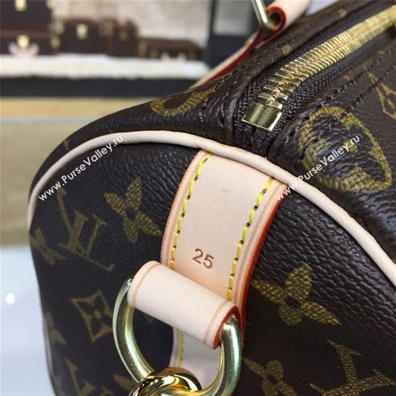 LOUIS VUITTON SPEEDY 25 10670