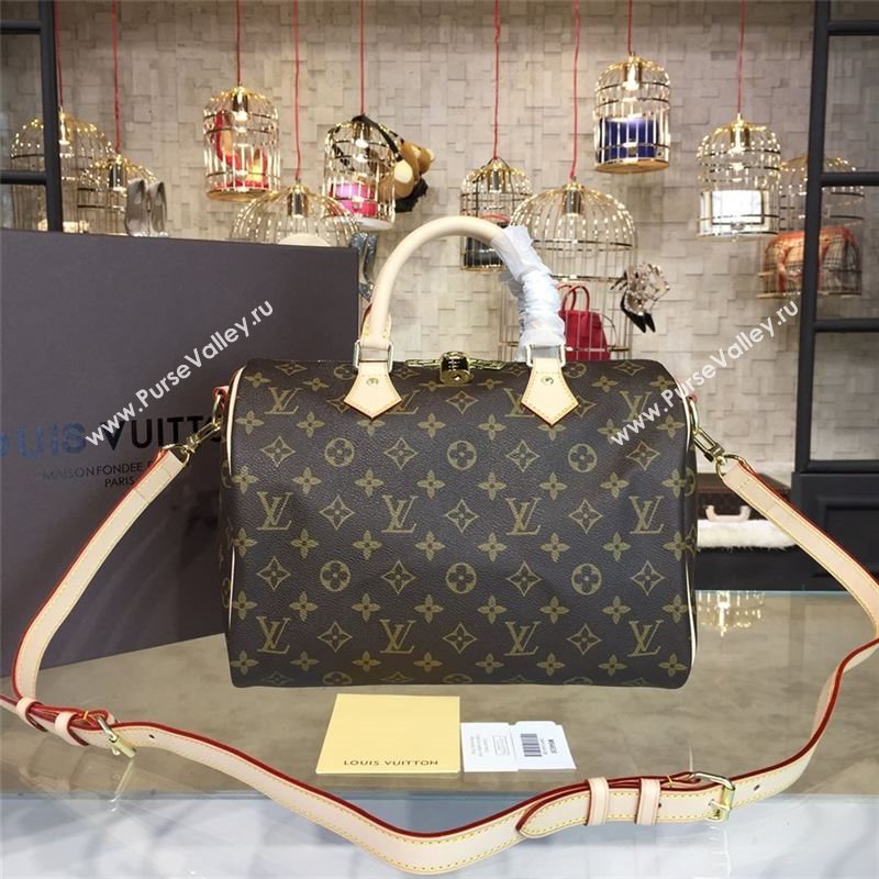 LOUIS VUITTON SPEEDY 30 10672