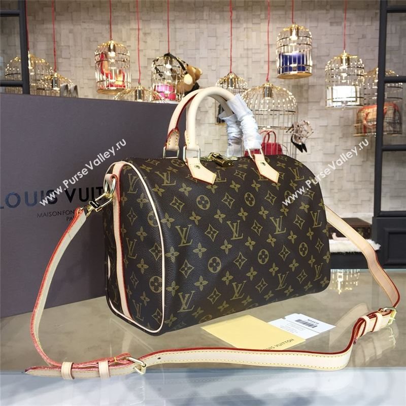 LOUIS VUITTON SPEEDY 30 10672