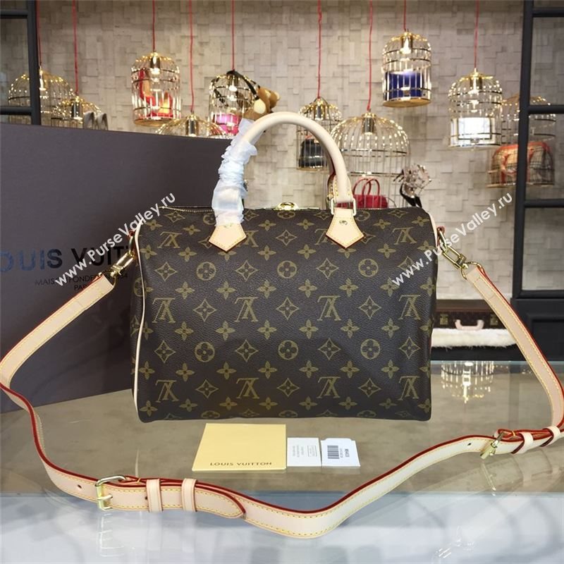 LOUIS VUITTON SPEEDY 30 10672