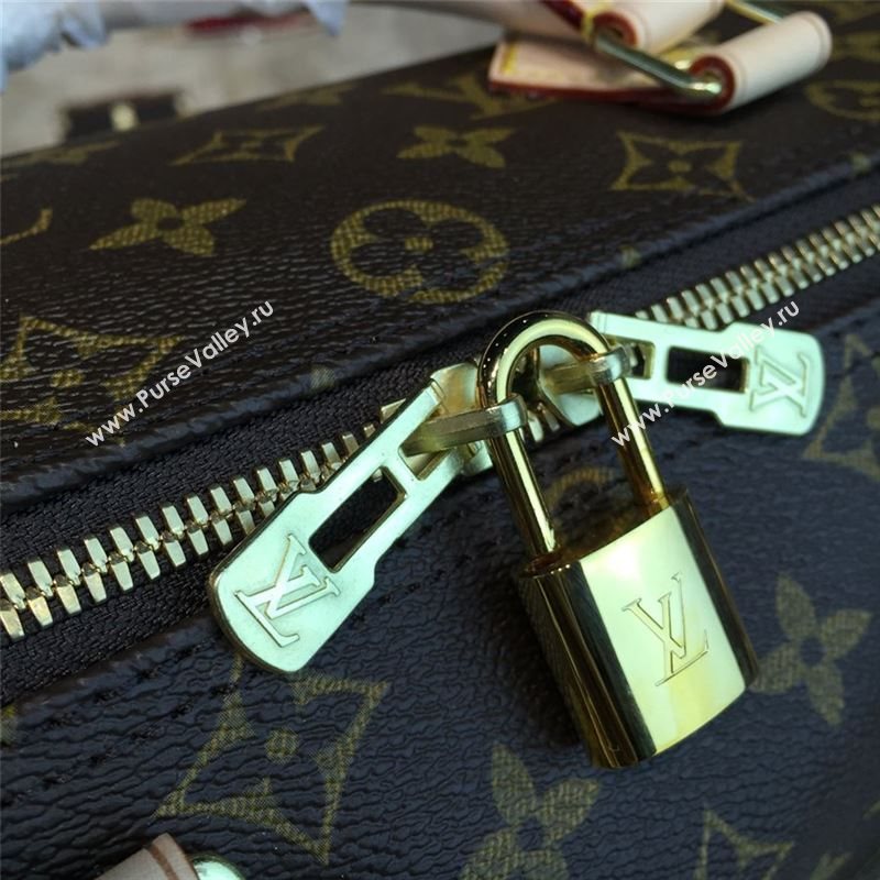 LOUIS VUITTON SPEEDY 30 10672