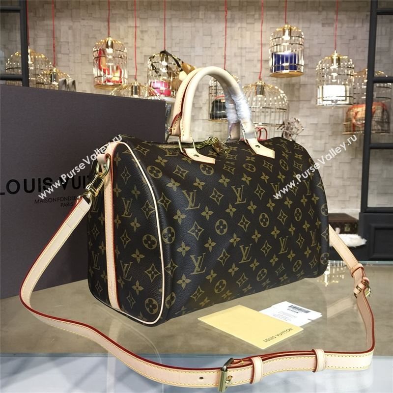 LOUIS VUITTON SPEEDY 35 10673