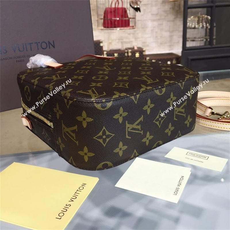 LOUIS VUITTON MONOGRAM NANO 9521