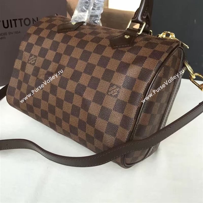 Louis Vuitton SPEEDY 25 50110