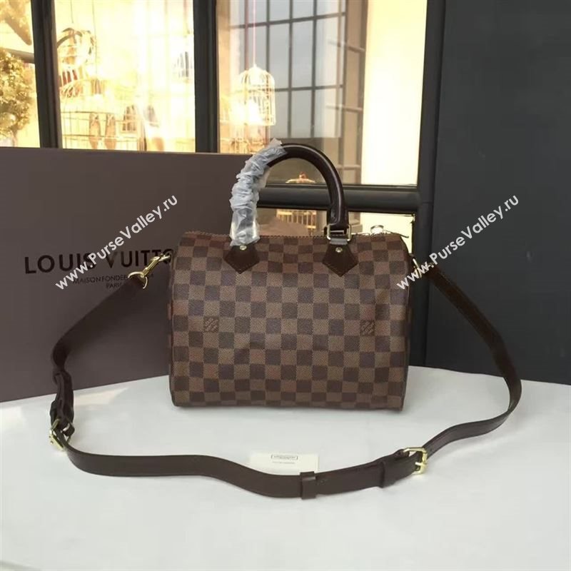 Louis Vuitton SPEEDY 25 50110