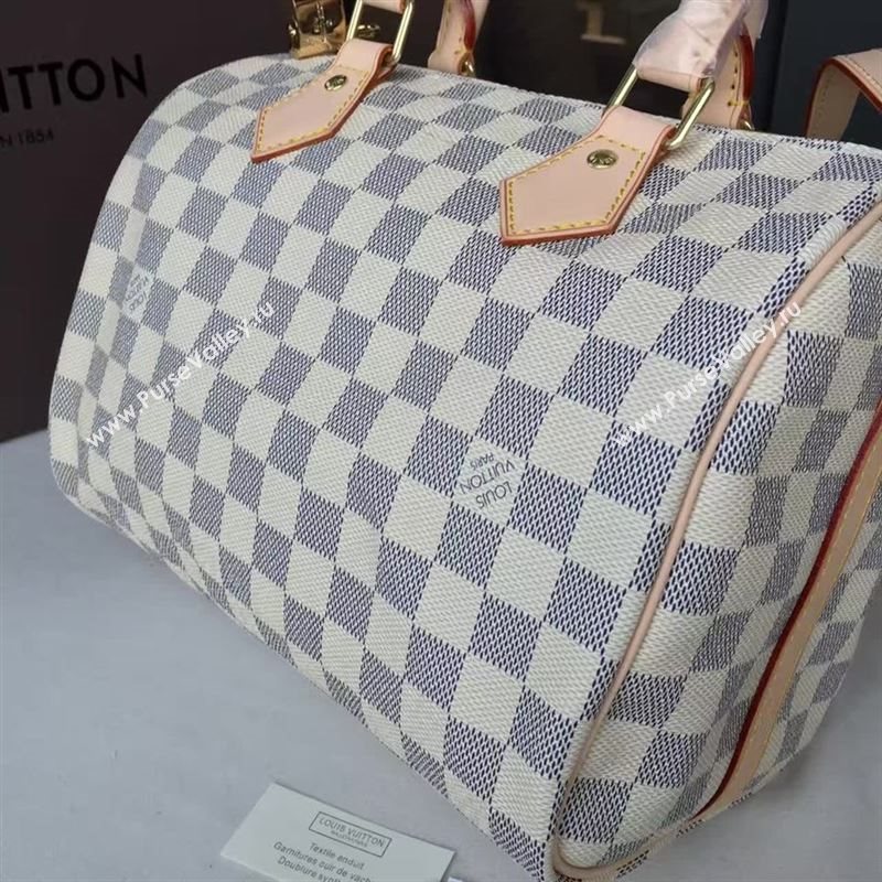 Louis Vuitton SPEEDY 25 50235