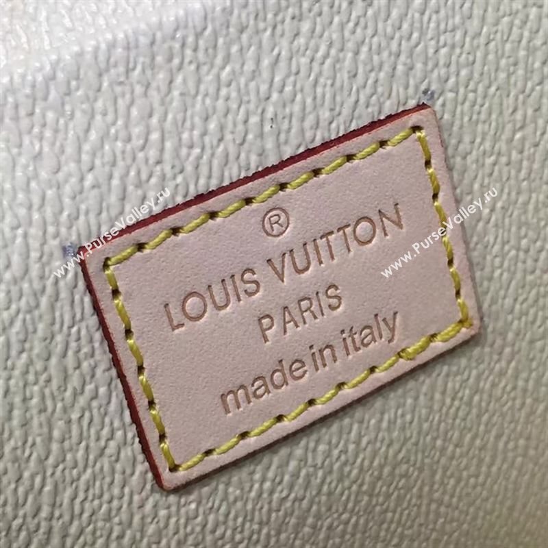 Louis Vuitton NICE 51024