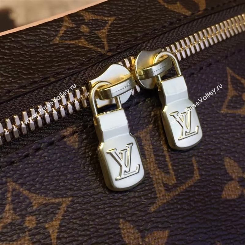Louis Vuitton NICE 51024